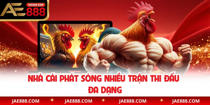 Nhà cái phát sóng nhiều trận thi đấu đa dạng 